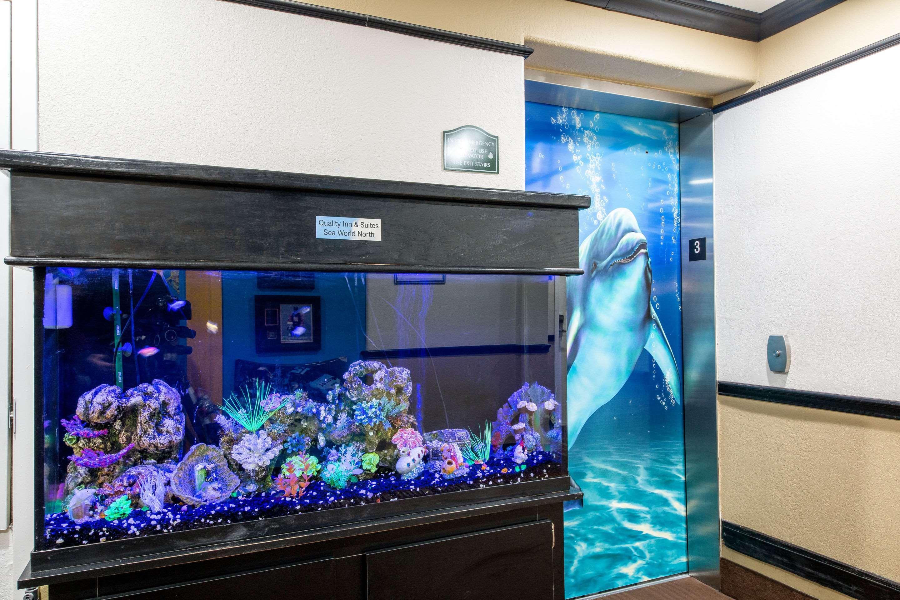 Quality Inn & Suites Seaworld North Сан Антонио Екстериор снимка